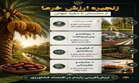 اینفوگرافی/ زنجیره ارزش خرما از نخلستان تا سفره جهانی
